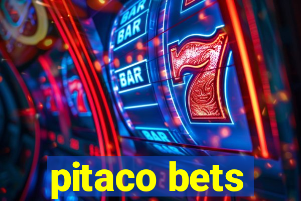 pitaco bets