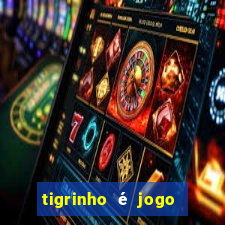 tigrinho é jogo de azar