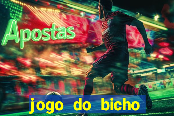 jogo do bicho online df