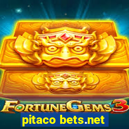 pitaco bets.net