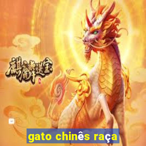 gato chinês raça