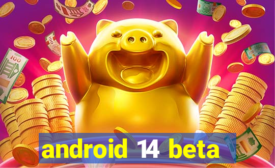 android 14 beta