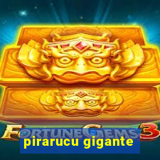 pirarucu gigante