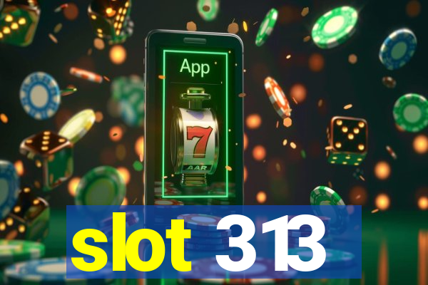 slot 313