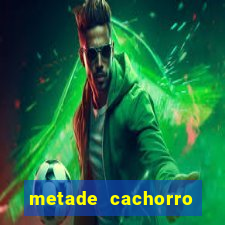 metade cachorro metade gato